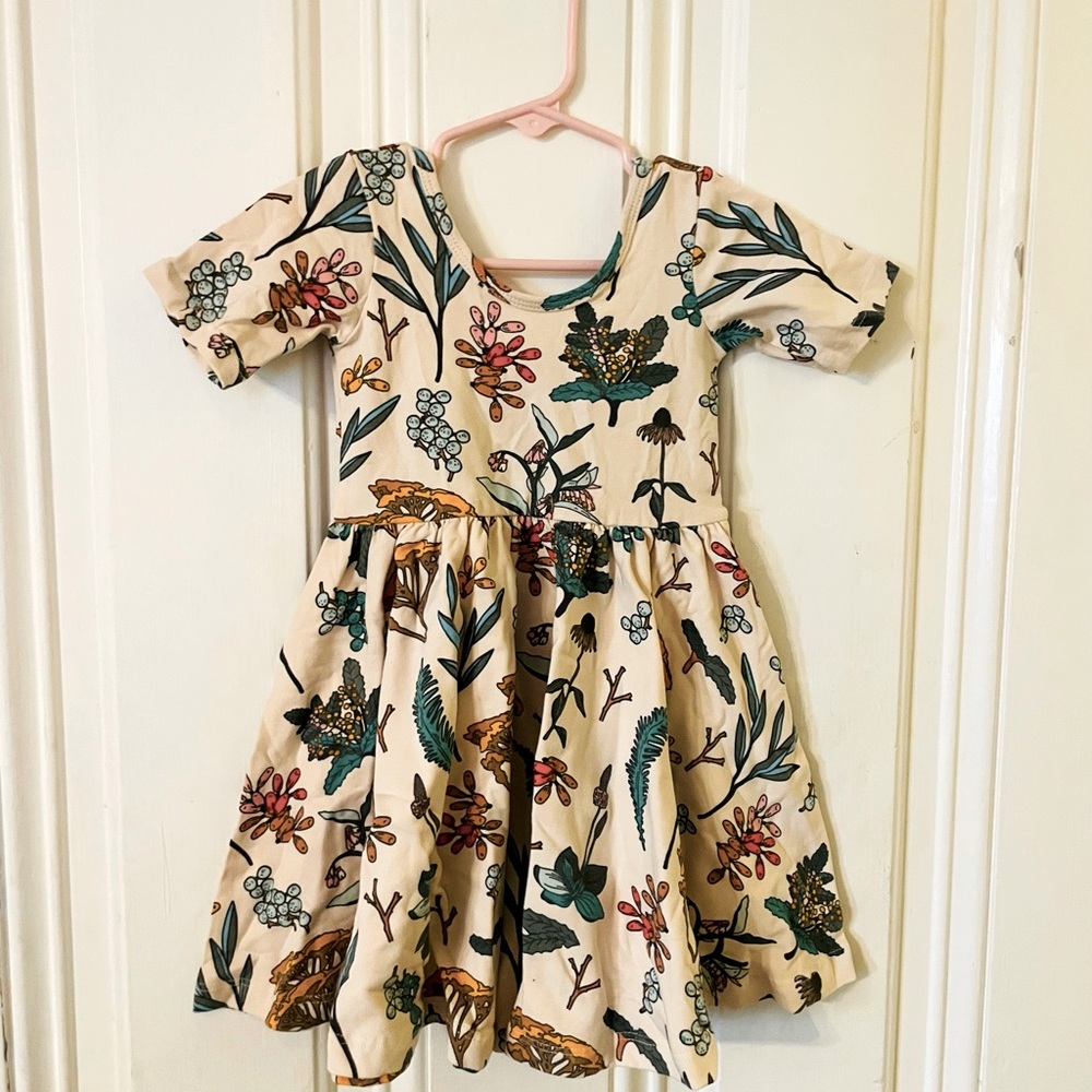 Alice and Ames Ballet Dress 3T in Herbal Study botanical print